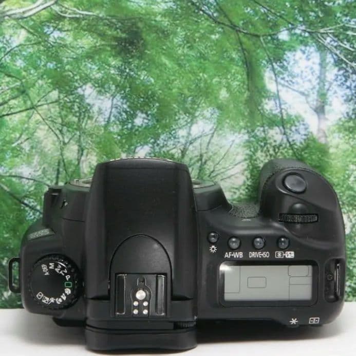 ❤️美品♪Canon EOS20D☆wifiSDでスマホ転送OK♪付属品多数❤️