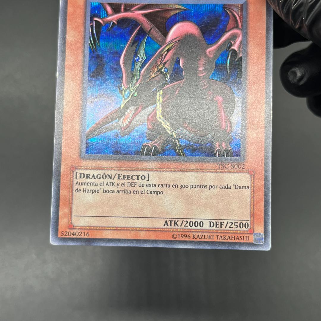 遊戯王　ハーピィズペット竜/シークレット/スペイン語/EU版 B