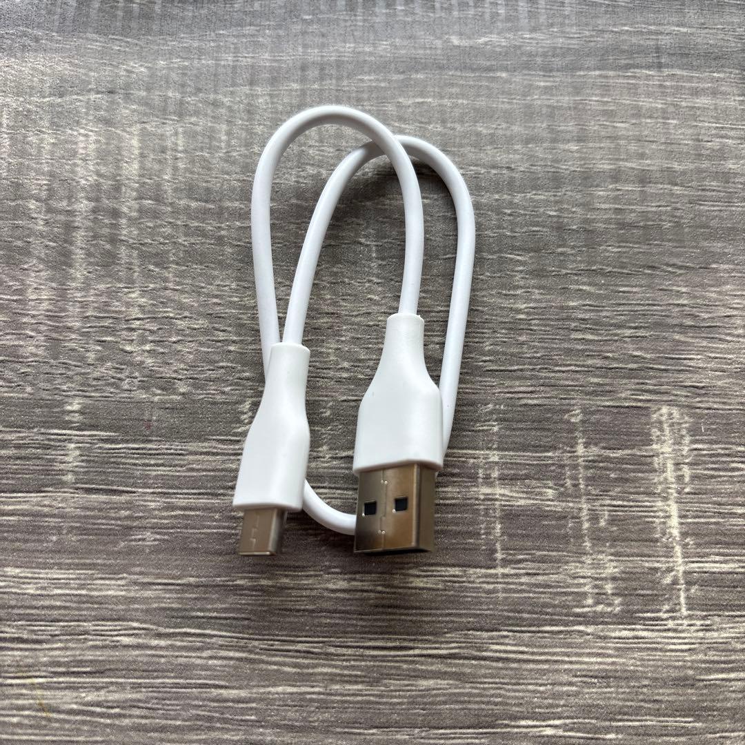 【美品】Anker Soundcore Sleep A20 ワイヤレスイヤホン