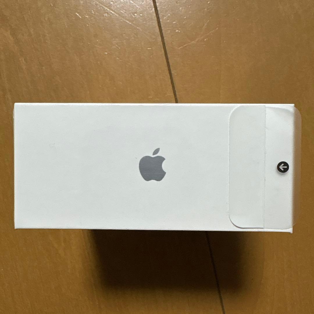 新品未開封 AirPods Pro (MagSafe充電ケース付き) 第一世代