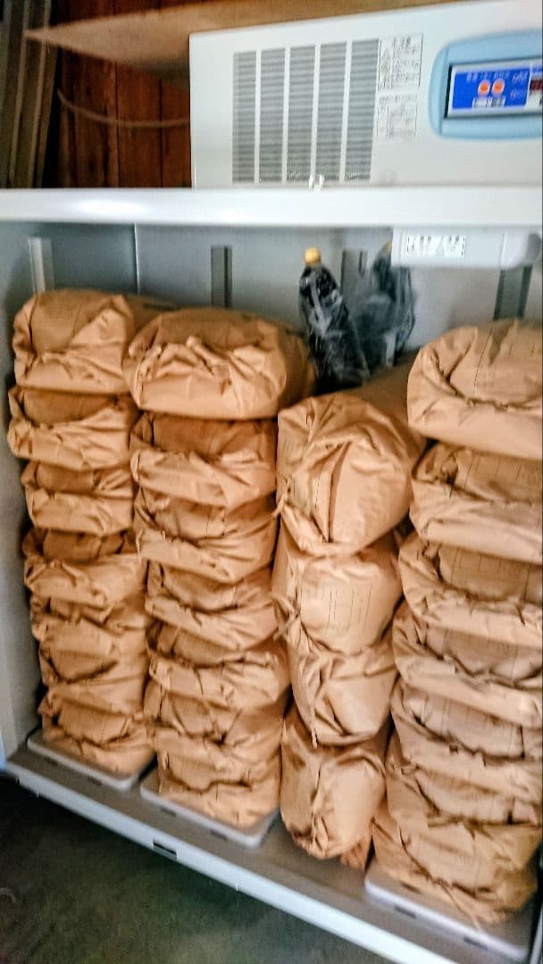 星空舞 25kg 令和7年 鳥取県産 一等米 新米 精米 米