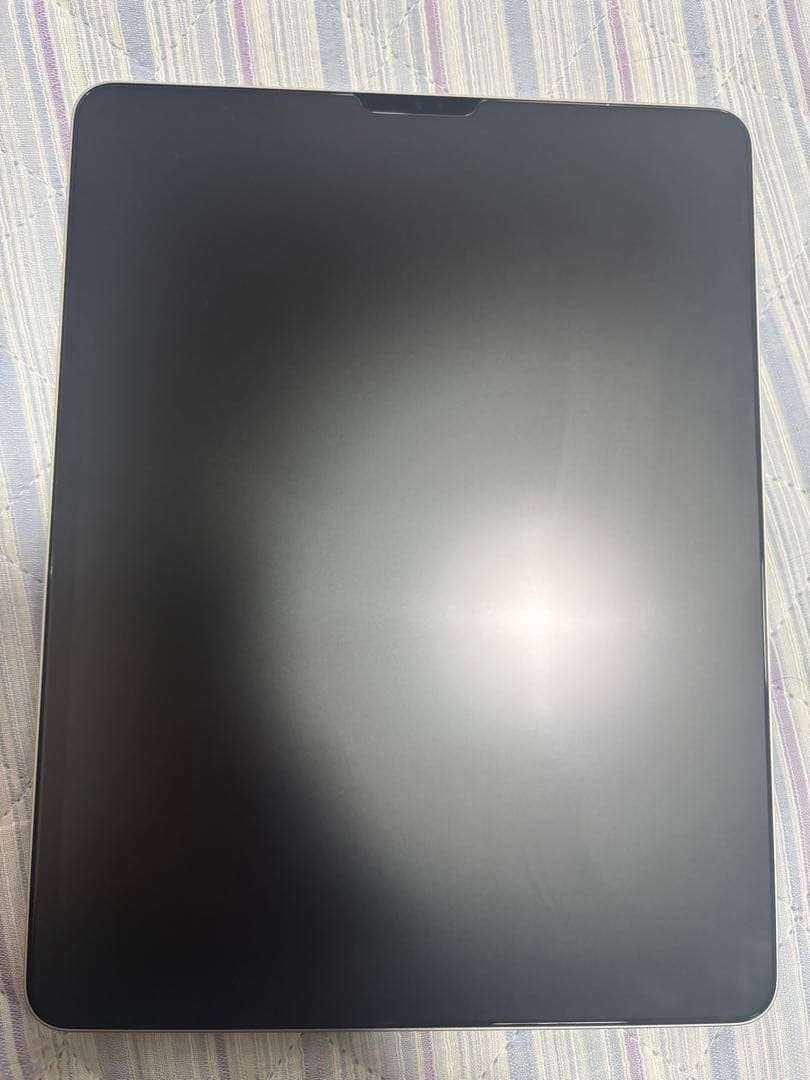 ipad pro 12.9インチ　シルバー　256gb 第5世代