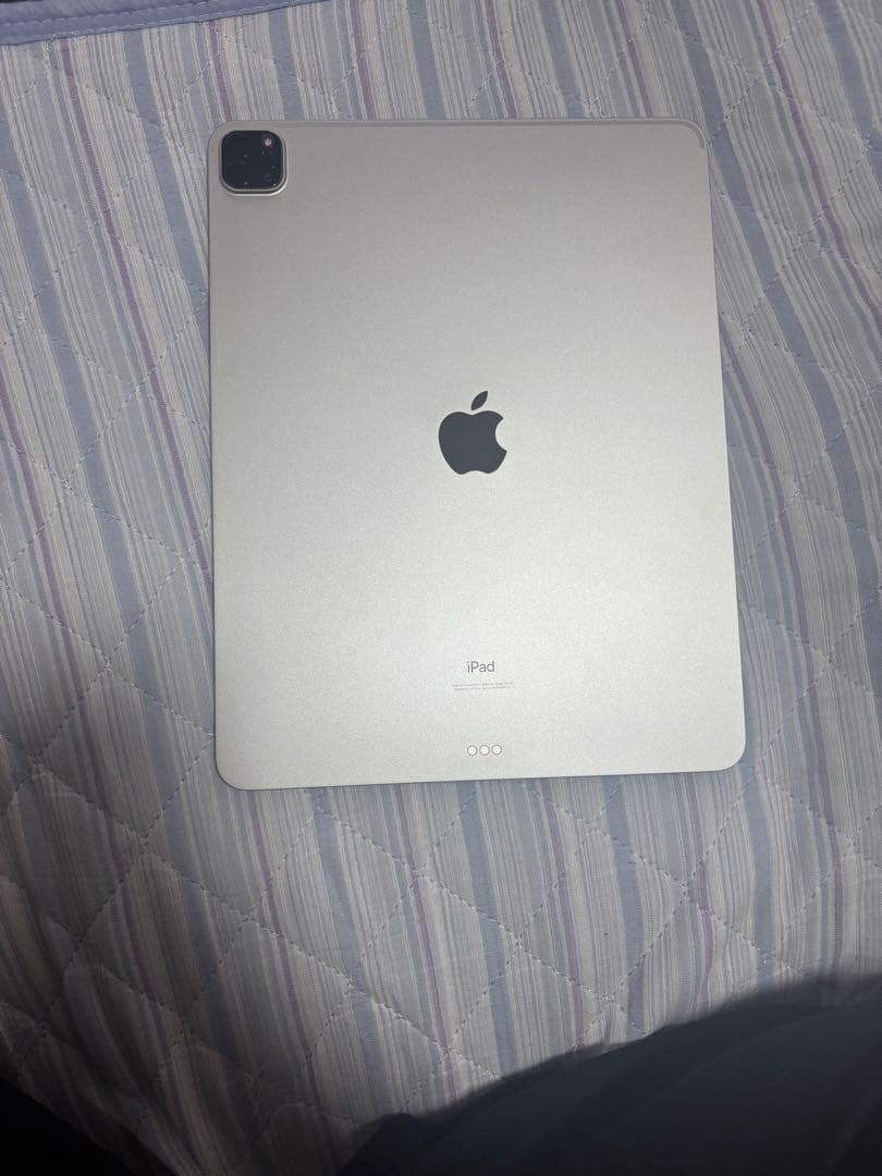 ipad pro 12.9インチ　シルバー　256gb 第5世代