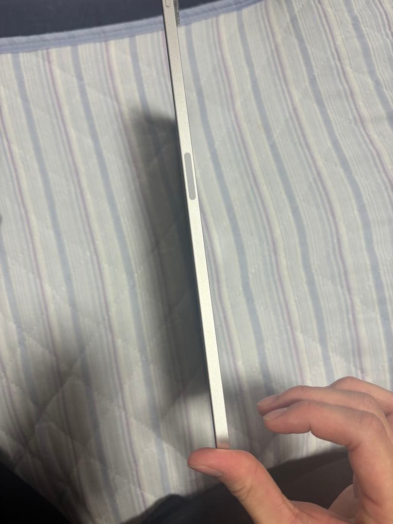 ipad pro 12.9インチ　シルバー　256gb 第5世代