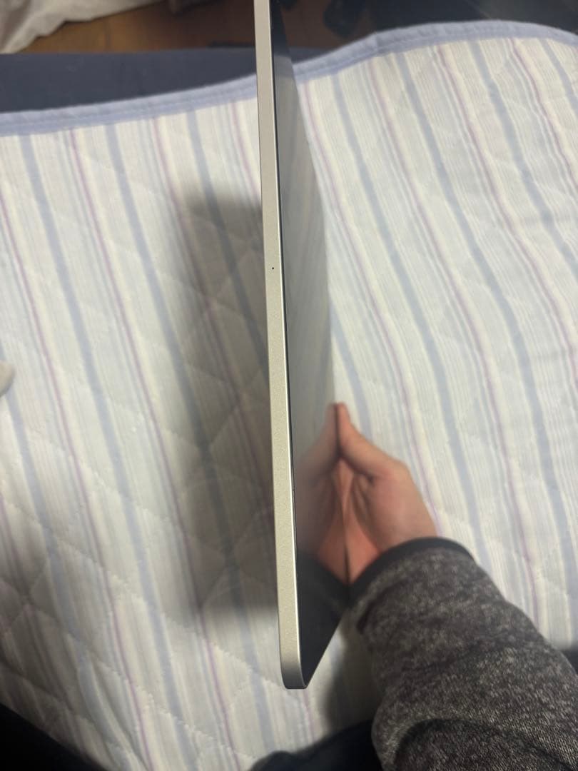 ipad pro 12.9インチ　シルバー　256gb 第5世代