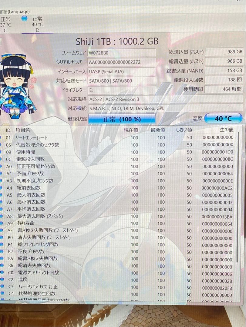 内蔵型SSD Shiji 1TB M.2 NGFF SSD