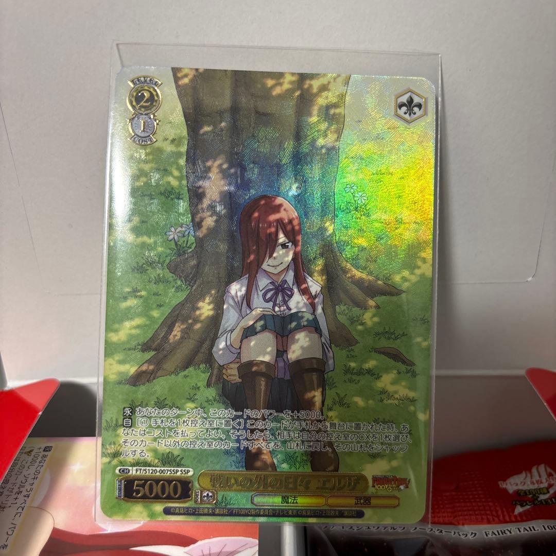 ヴァイスシュヴァルツ エルザ　フェアリーテイル