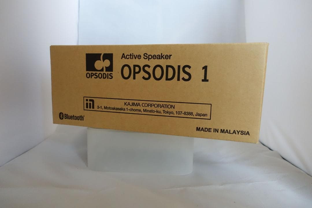 鹿島建設　OPSODIS 1 Active Speaker