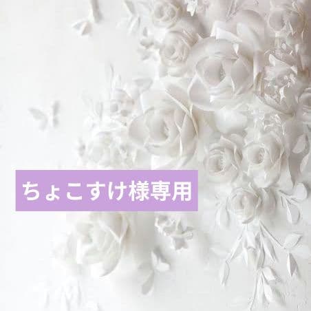 ちょこすけ様おまとめ専用ページ♡