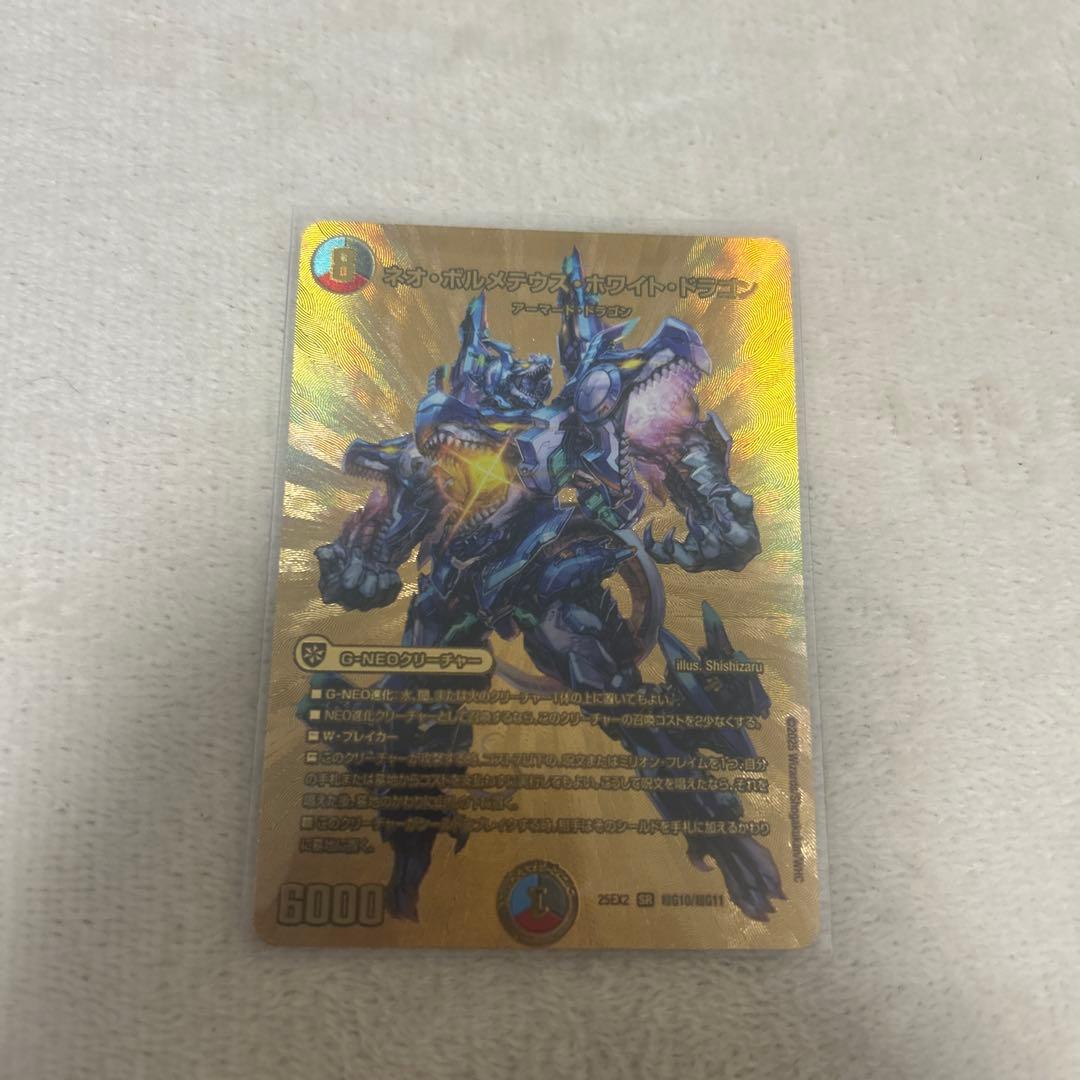 モルトVERSUS 2枚