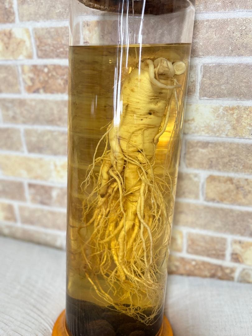 ［お宝］高麗人参のガラス容器