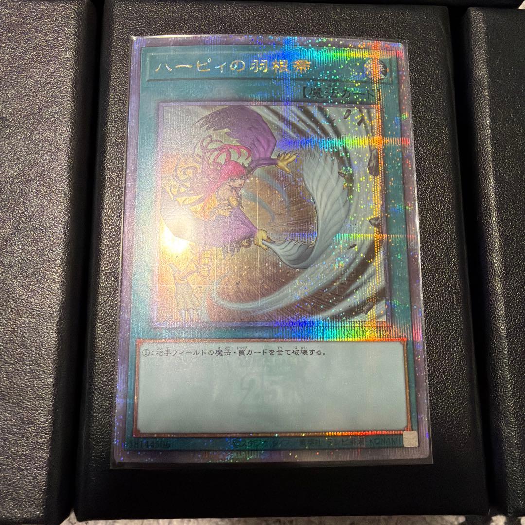 ハーピィの羽根帚　25thシク