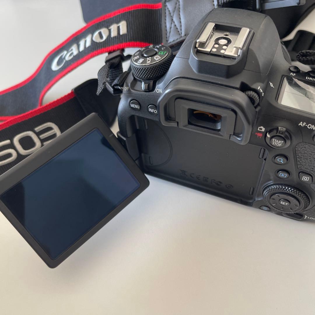 Canon EOS 6D Mark II レンズ2個セット　キャノン