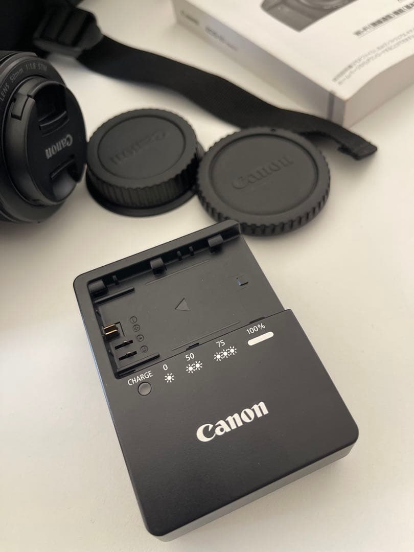 Canon EOS 6D Mark II レンズ2個セット　キャノン