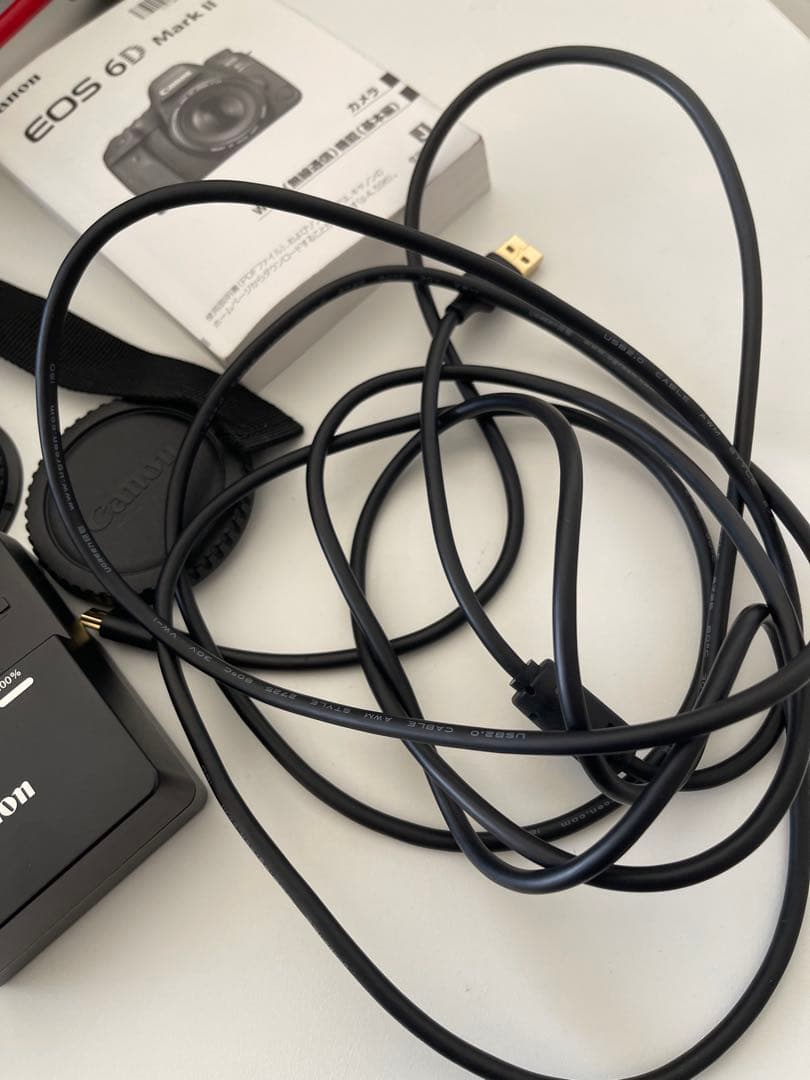 Canon EOS 6D Mark II レンズ2個セット　キャノン