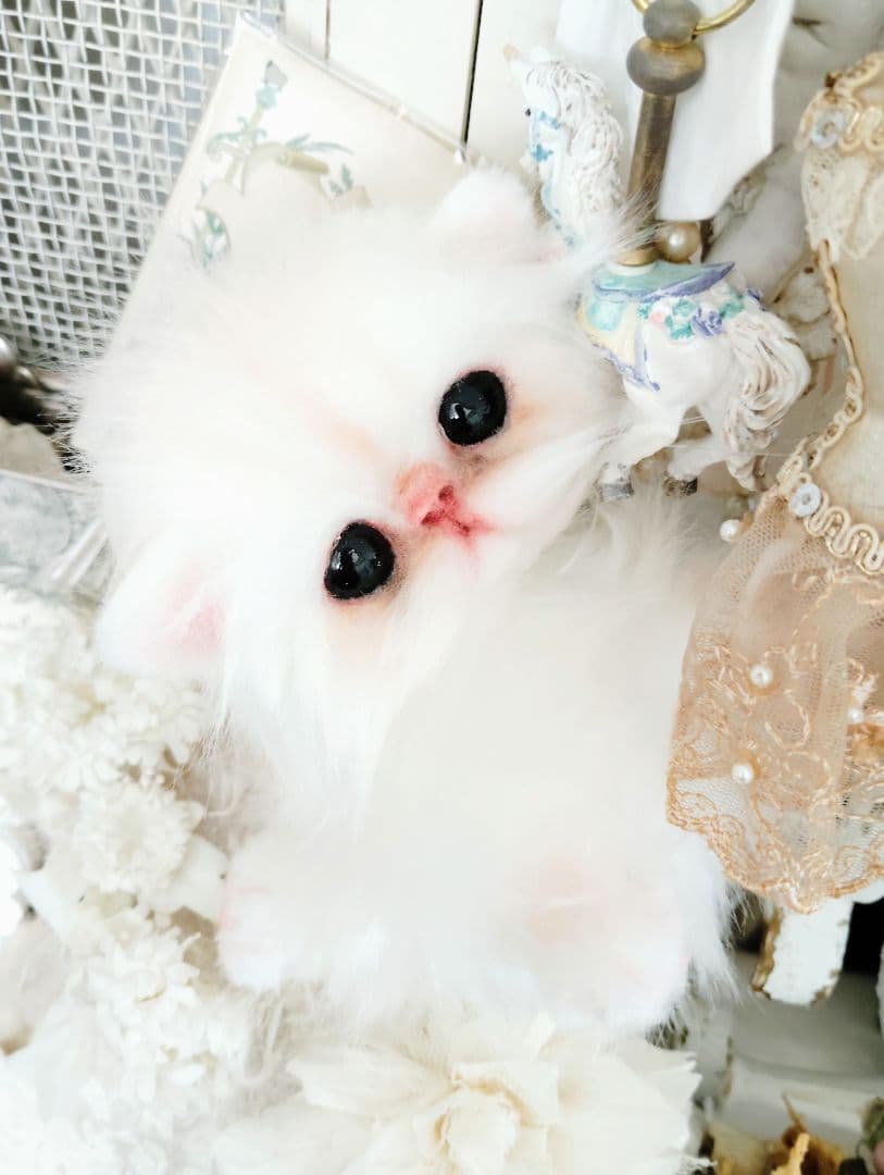 エキゾチック♡子猫のぷんちゃん♡アートドール♡ぬいぐるみ♡