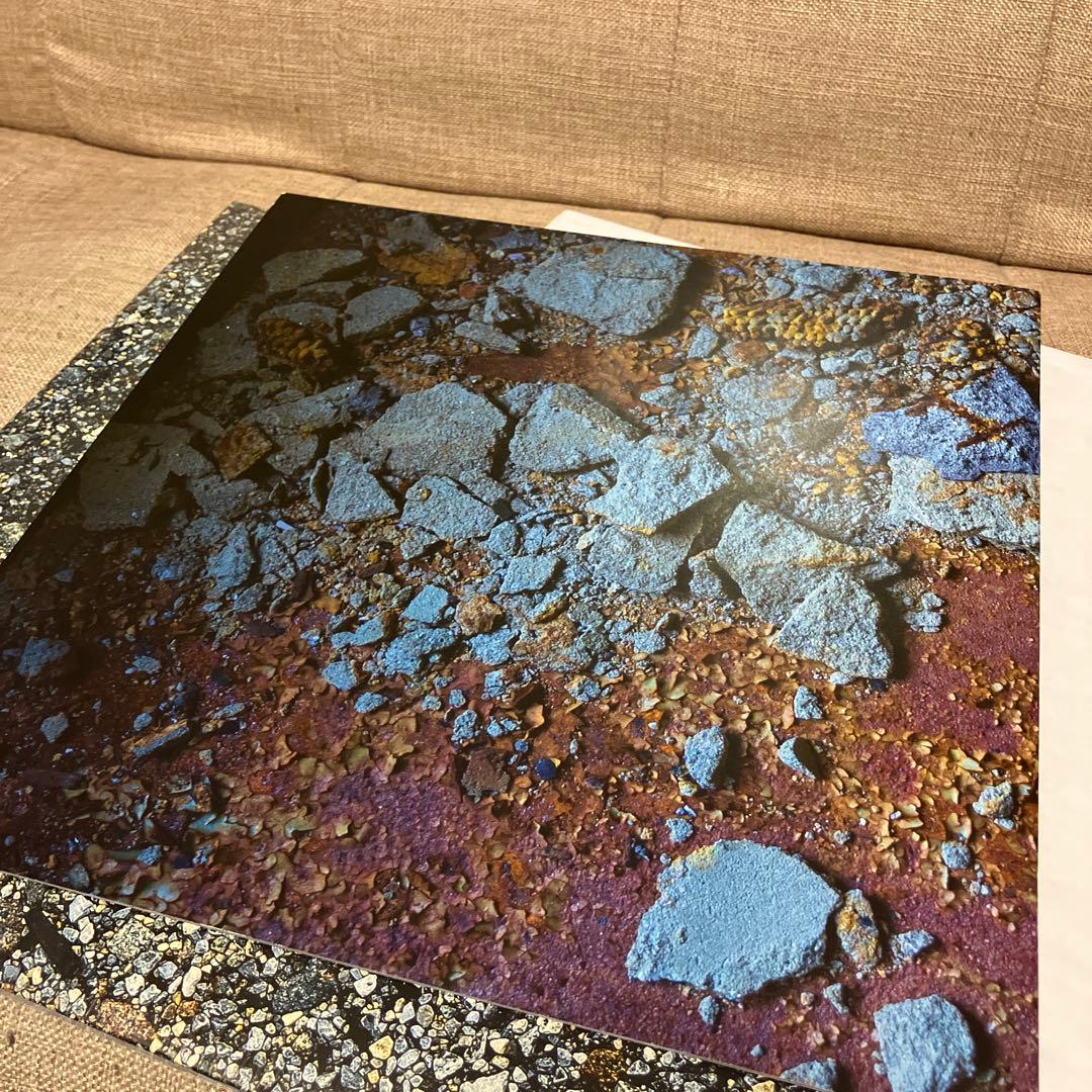 洋楽 gangrene you disgust me clear vinyl 2lp