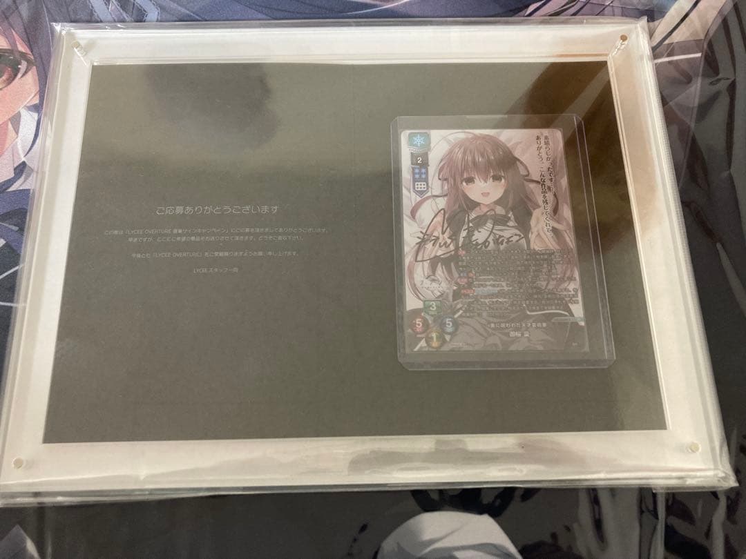 lycee サクラノ詩　素晴らしき日々　ケロQ＆枕 フルコンプ　直筆サイン