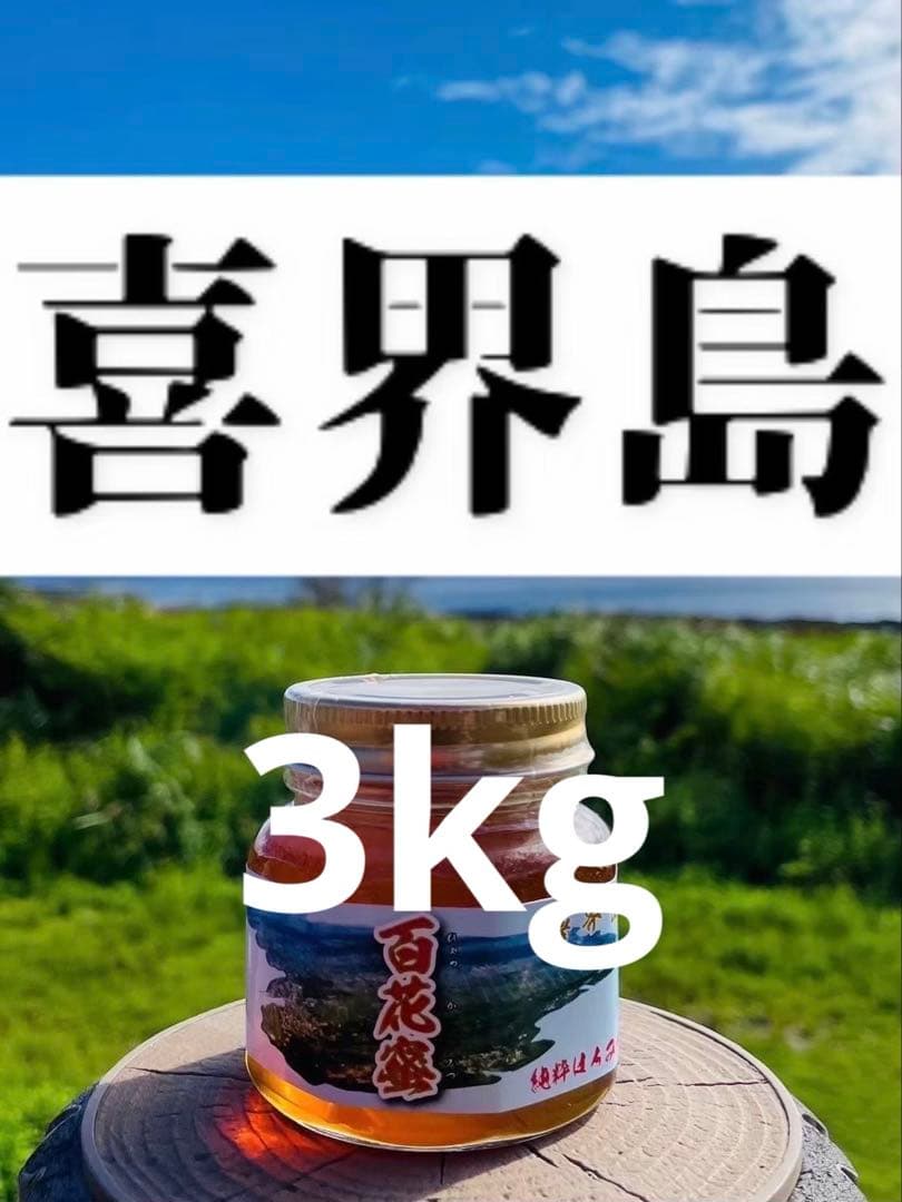 喜界島 百花蜜 3kg 蜂蜜 国産