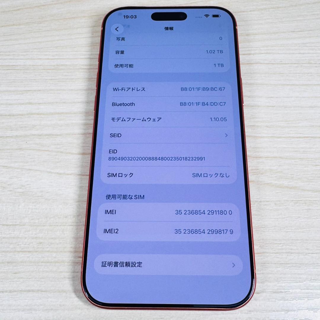 P309 美品 物理SIMカード対応 iPhone17 Pro Max 1TB