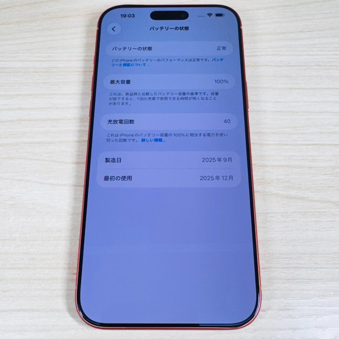 P309 美品 物理SIMカード対応 iPhone17 Pro Max 1TB