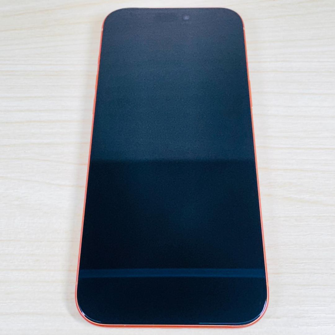 P309 美品 物理SIMカード対応 iPhone17 Pro Max 1TB