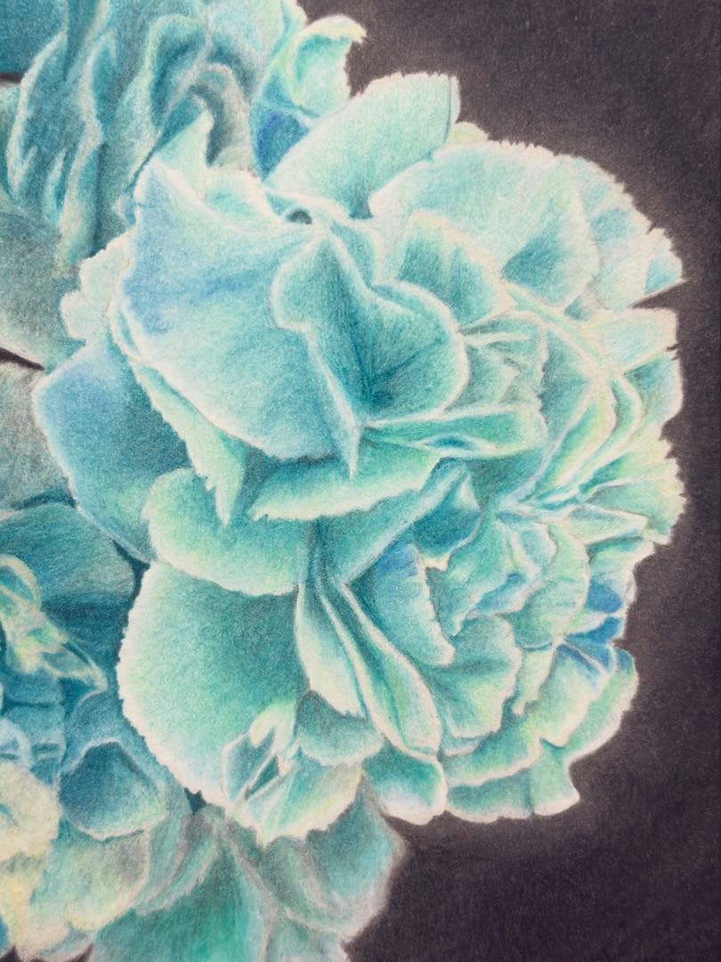 【ラゴス】輝きのエメラルドカーネーション(額装無し)