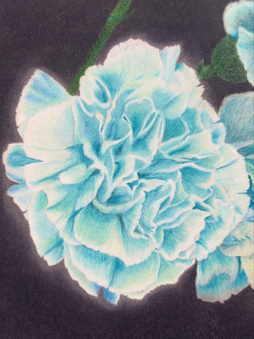 【ラゴス】輝きのエメラルドカーネーション(額装無し)