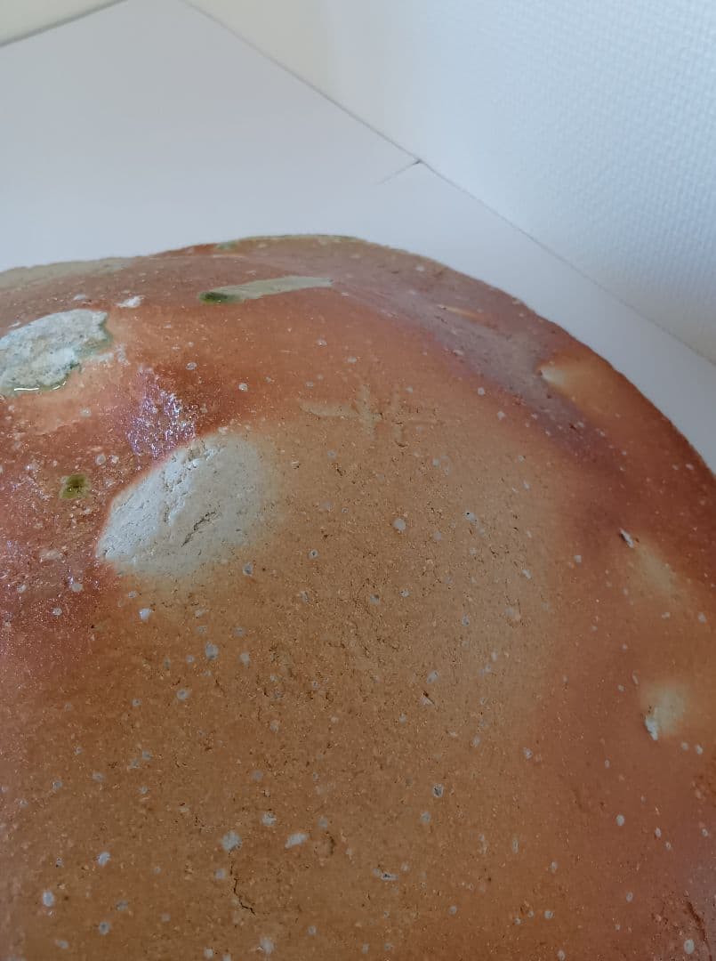 【価格値下げ】丸大皿 花生け お皿 杉本貞光 作