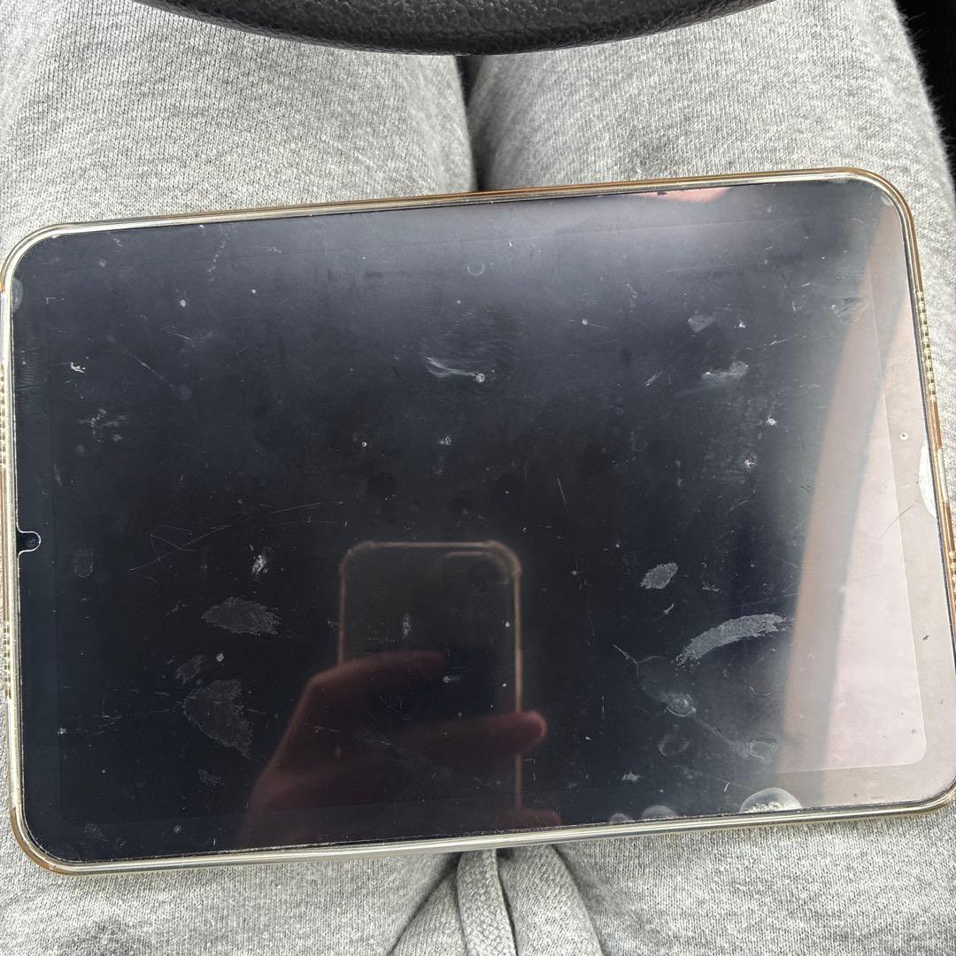 Apple iPad 本体　ミニ　ジャンク