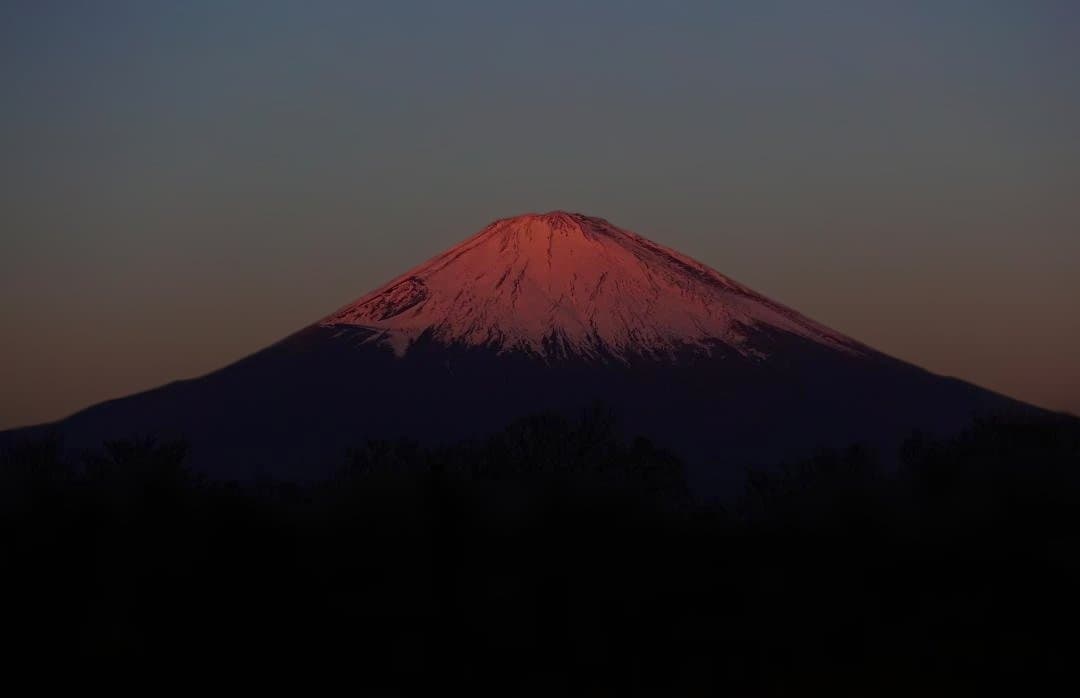 【ジャンク】SONY DSC-RX100M5()【動作可】