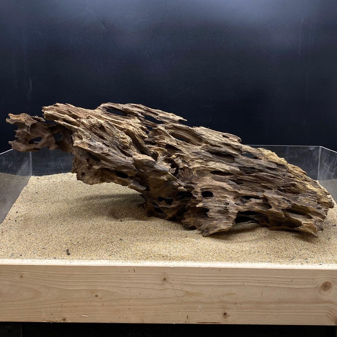 MMW-6463 特大マシンガンウッド　流木　アクアリウム