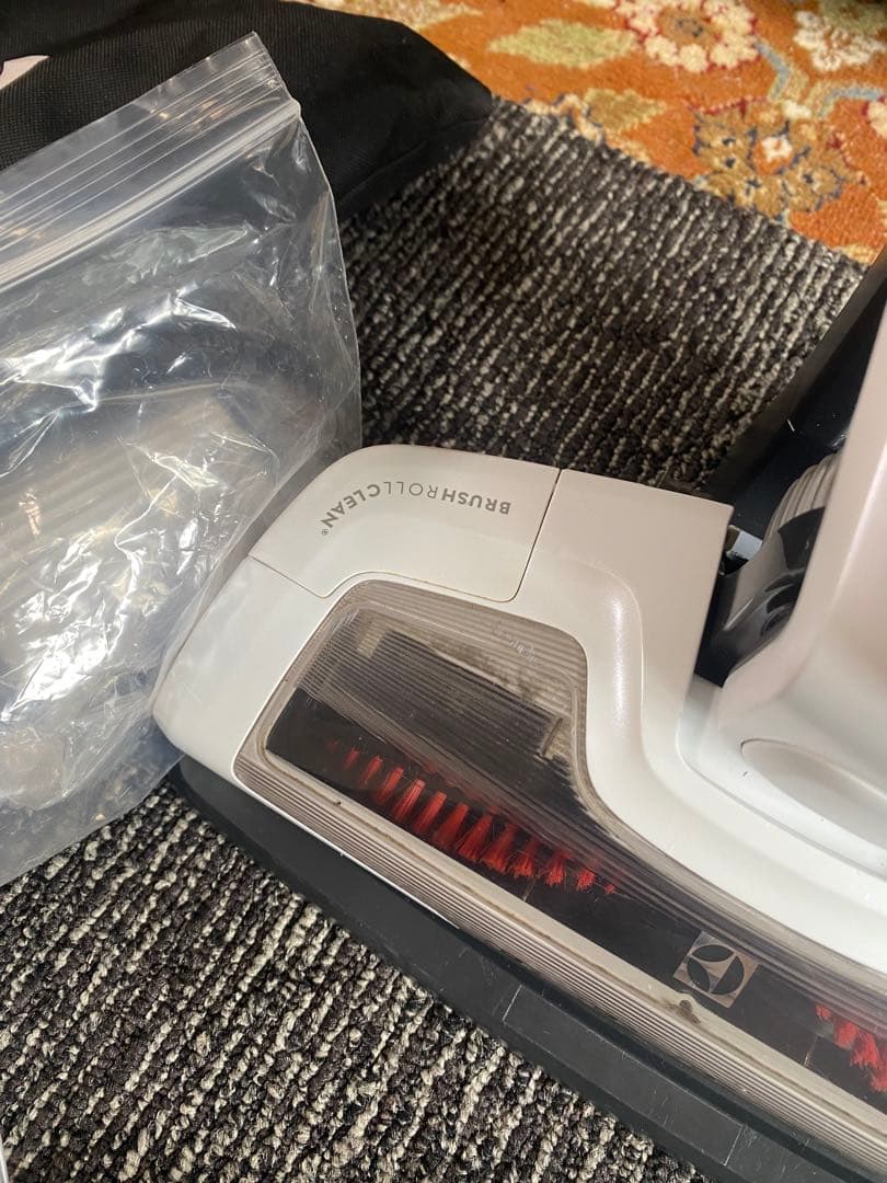 Electrolux Ergorapido Bed Pro 本体