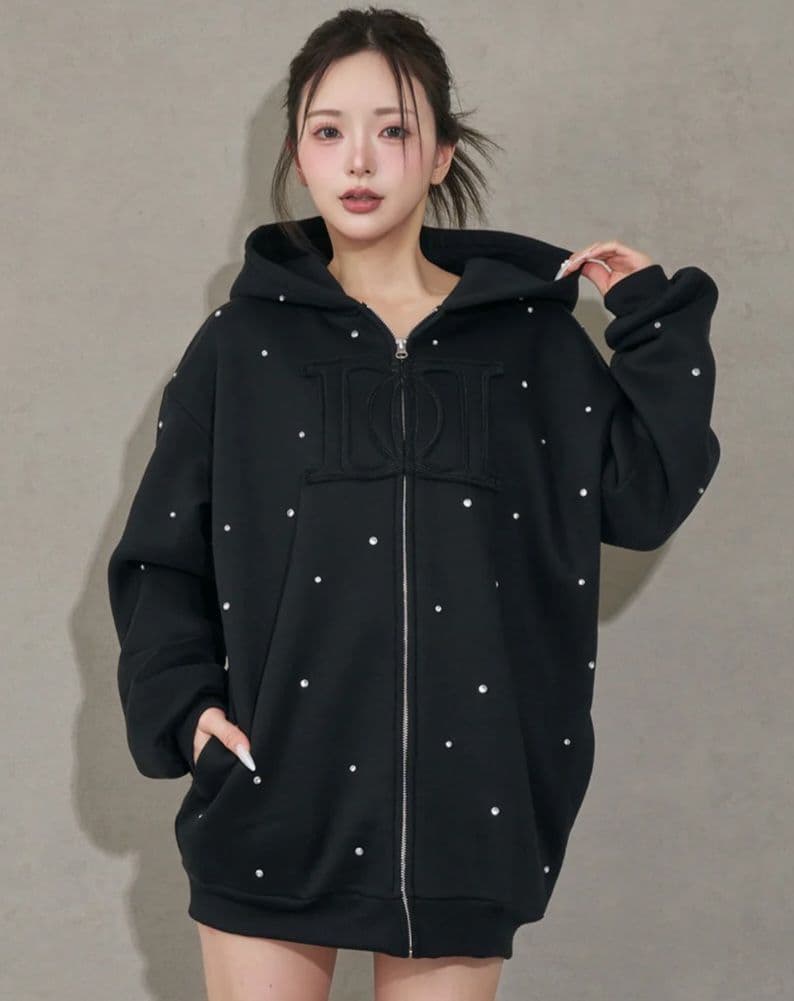 Darich ダーリッチ DDロゴビジュージップパーカー