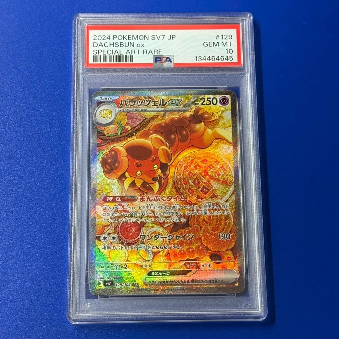 psa10 パウッツェルex sar