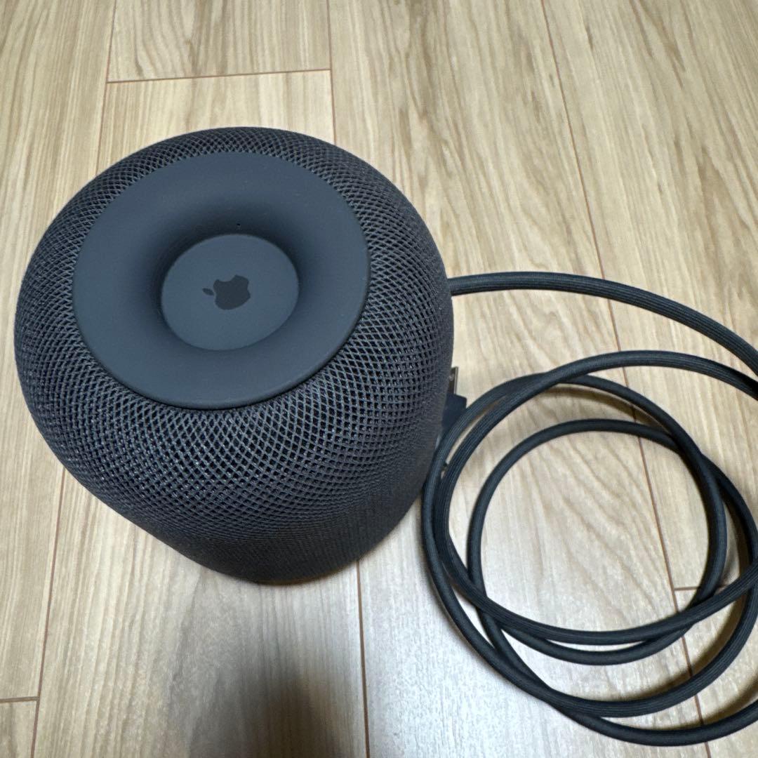 Apple Pod 第1世代 スペースグレー 本体