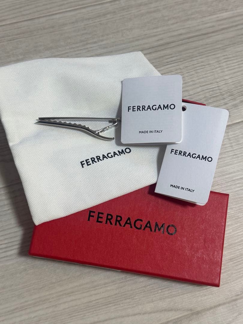 Salvatore Ferragamo／シルバータイピン