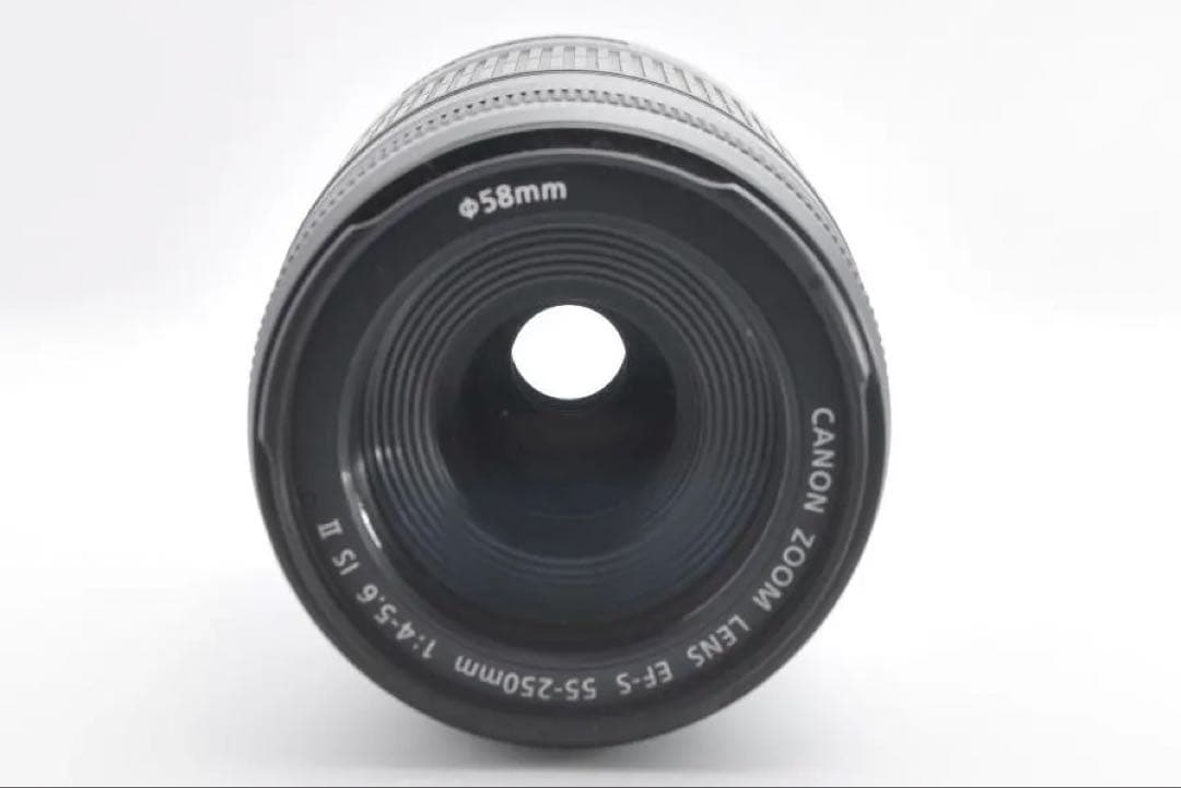 ✨大特価✨Canon EF-S 55-250mm IS II 望遠レンズ