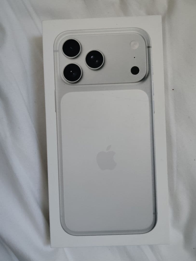 Apple iPhone シルバー 本体