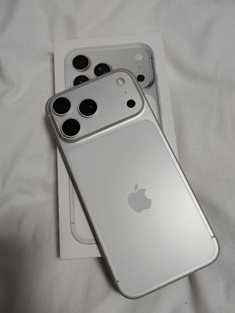 Apple iPhone シルバー 本体