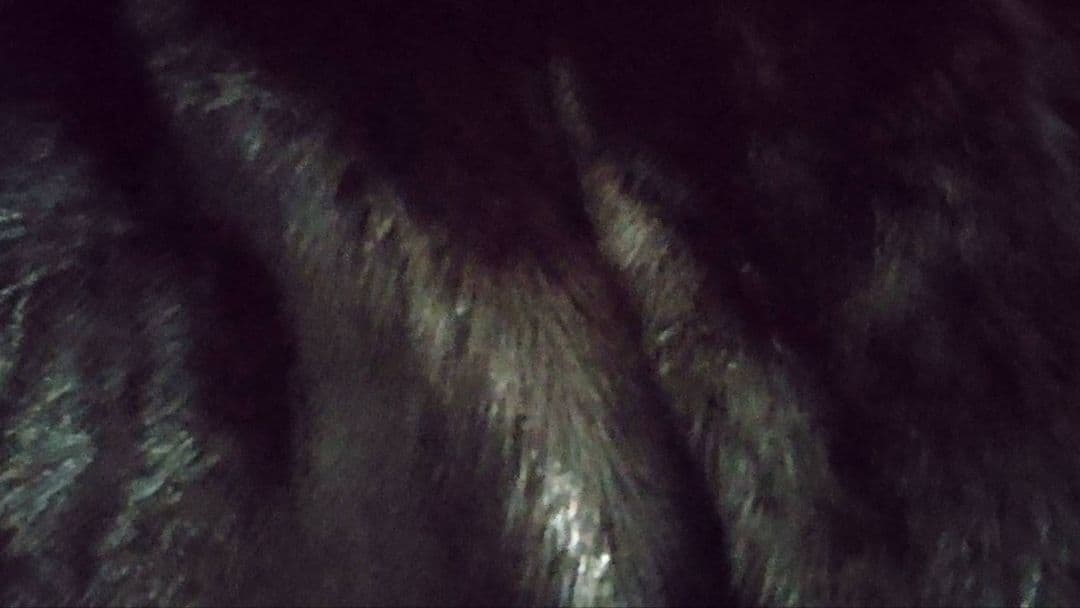 高級ミンクファーコート