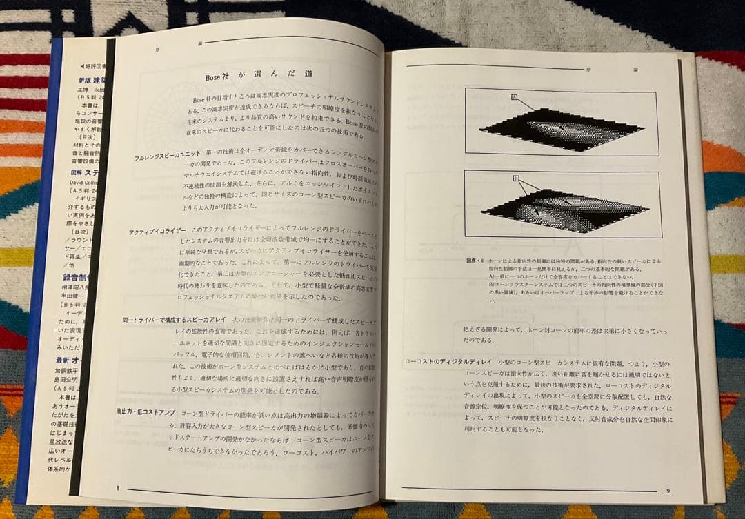 【限定色】BOSE 101MM CC/CO CANDY BEAMSコラボ