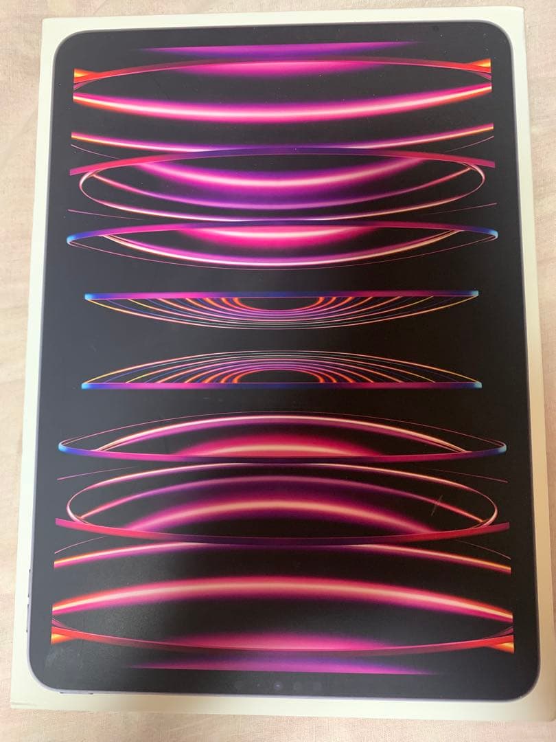 iPad Pro 11インチ 第4世代　256GB 今日明日値引きします