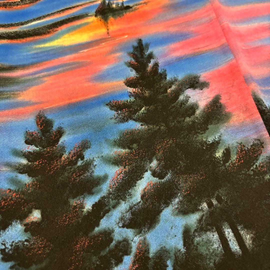 圧巻 訪問着 裄67 まるで絵画の様 素敵なデザイン 正絹 AK-3889