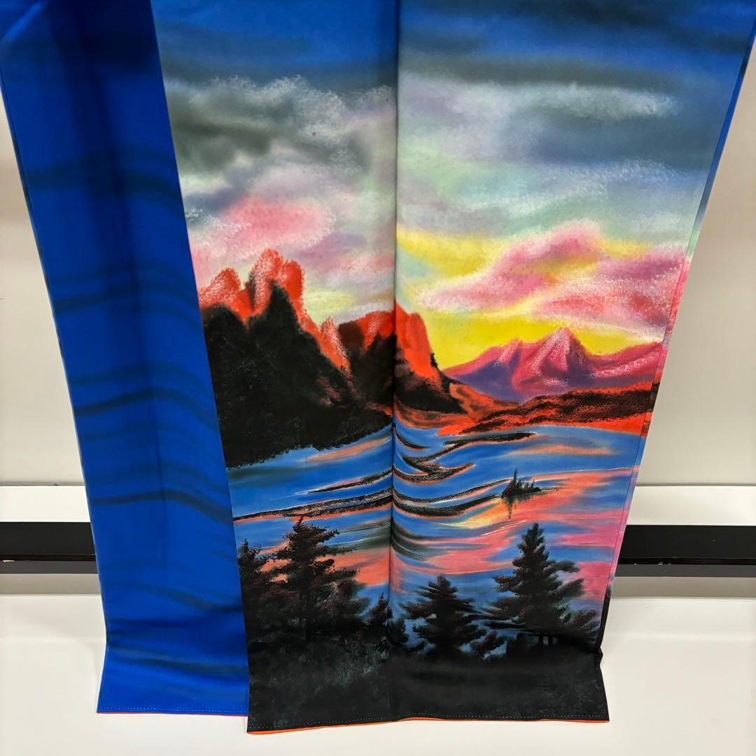 圧巻 訪問着 裄67 まるで絵画の様 素敵なデザイン 正絹 AK-3889