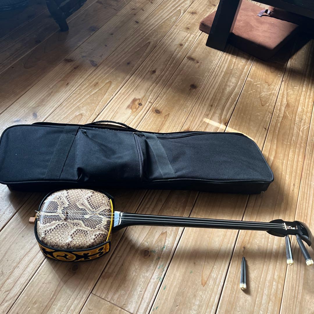 沖縄三線　蛇本革　ケース付き　弦の棒が一本折れています。つめ2個　予備棒　弦付き