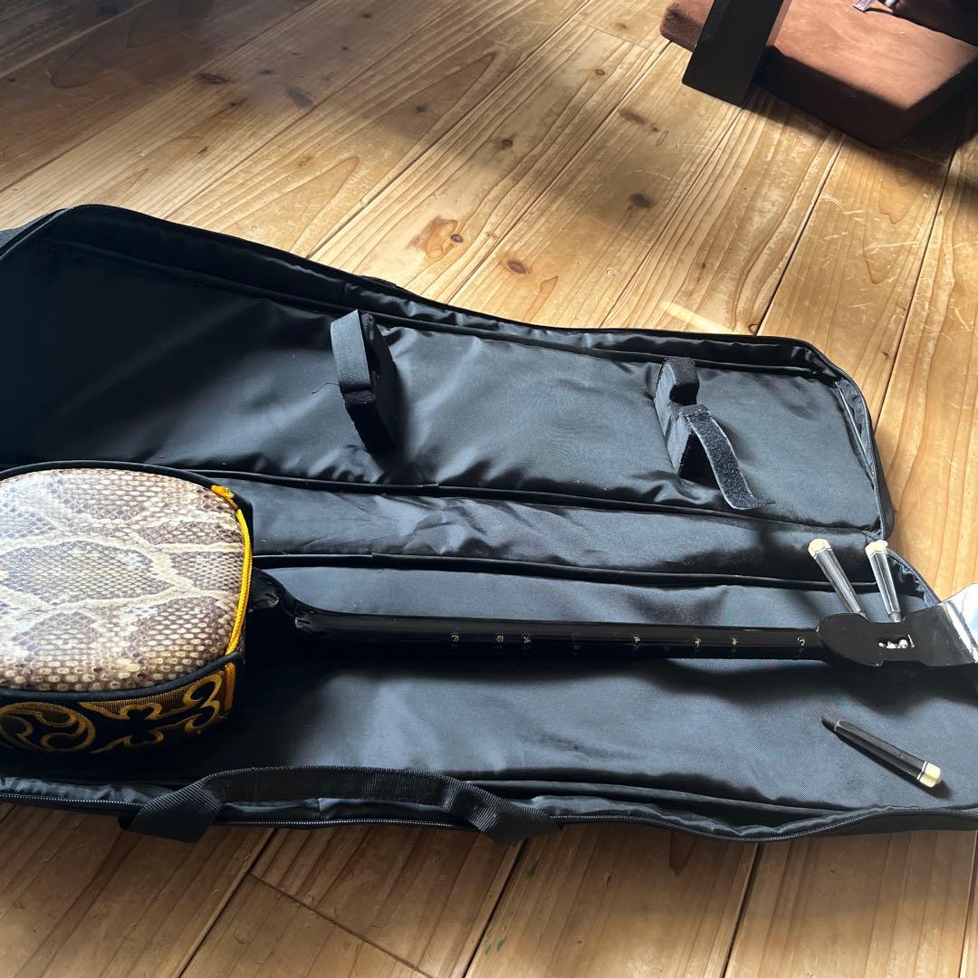 沖縄三線　蛇本革　ケース付き　弦の棒が一本折れています。つめ2個　予備棒　弦付き