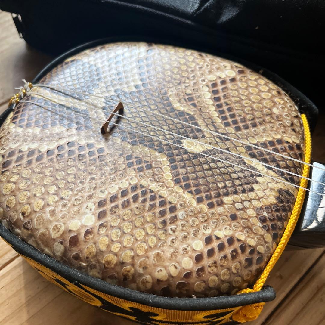 沖縄三線　蛇本革　ケース付き　弦の棒が一本折れています。つめ2個　予備棒　弦付き