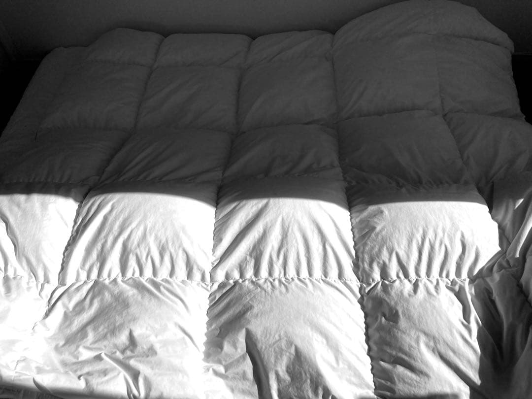 タンスのゲン　羽毛布団　国産