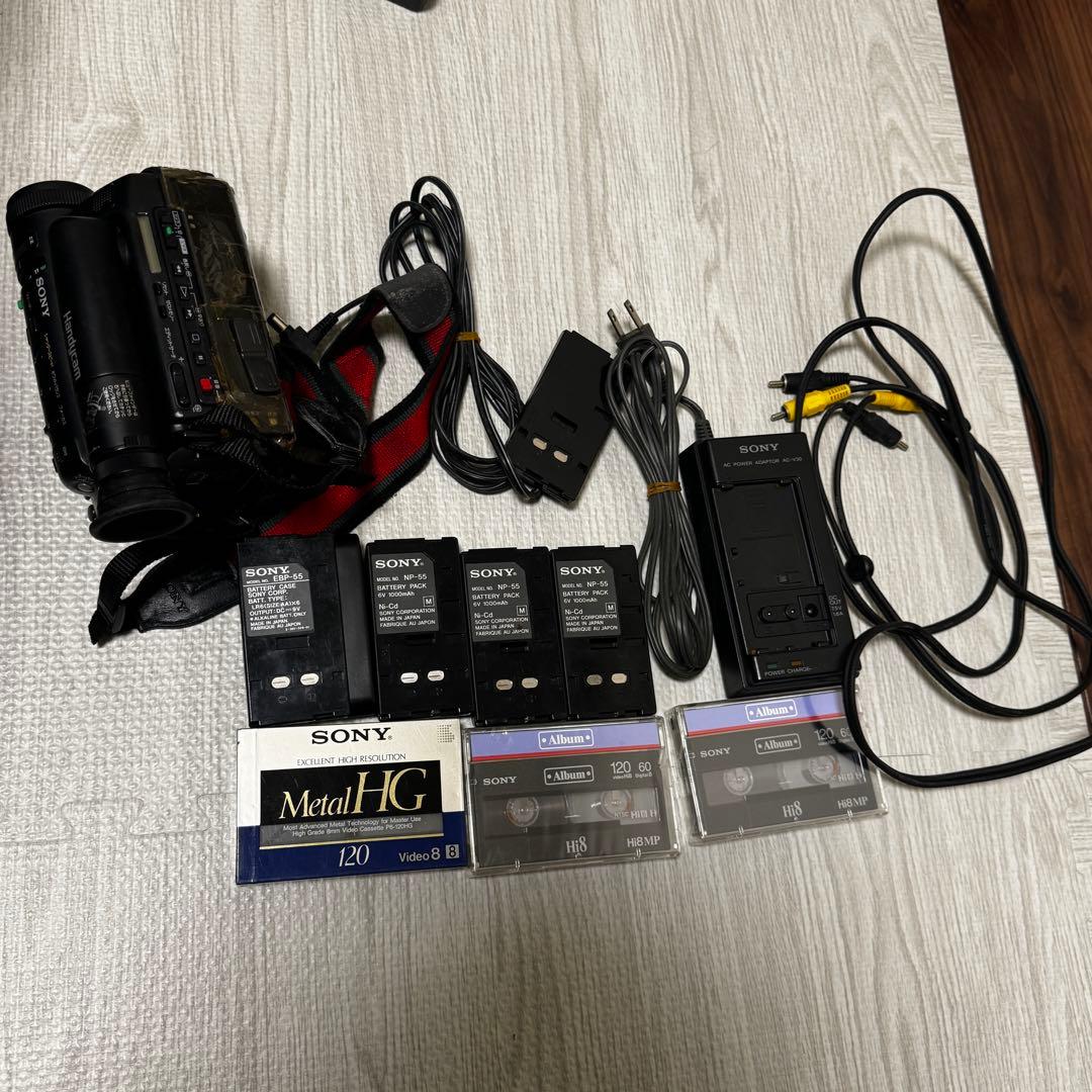SONY Handycam ビデオカメラ本体